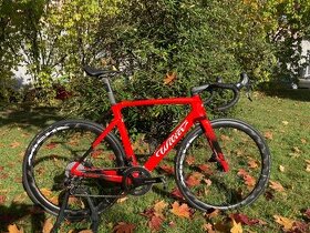 Wilier Cento 10 SL Velikost L - 1