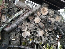 Třešňové drevo