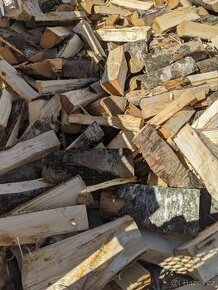 Palivové dřevo bříza Prachatice - 1