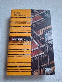 Malý život  - Hanya Yanagihara - 1