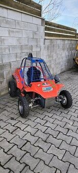 Racer Buggy Havel