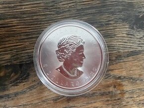 Maple Leaf 1 oz - stříbrná mince