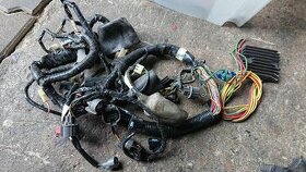 Honda cbr 600 od 01