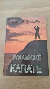 Dynamické karate