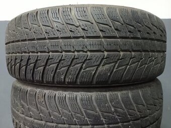 215/65 R16 NOKIAN (3421)