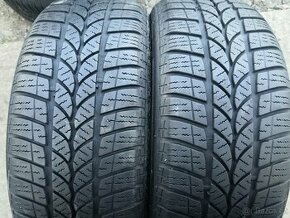 Zimní pneumatiky Riken 205/55 R16 94H