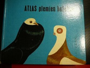 Prodám knihu : ATLAS PLEMIEN HOLUBOV