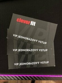 Clever fit Praha VIP jednorázová vstupenka