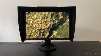 Eizo CG223W - 1