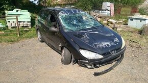 Peugeot 206 SW - 1