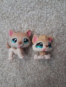 Littlest pet shop husky a štěně