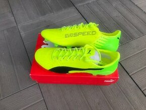 Kopačky Puma EvoSPEED 17.SL fg