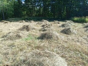 Obrázek k inzerátu: Brigáda hrabání a úklid trávy