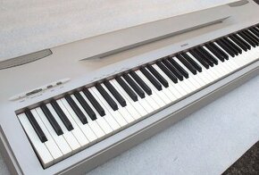 Digitální piano Yamaha P-60