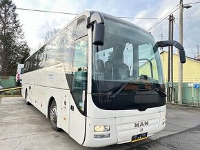 MAN LION S COACH