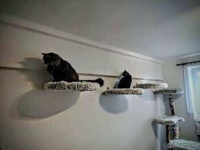 Kočičí odpočívadlo na zeď - 1