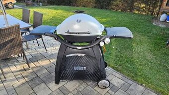 Gril Weber 3200