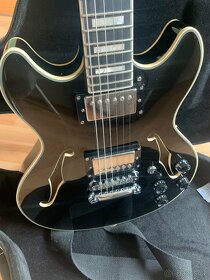 D'Angelico Premier DC Mini - Black Flake