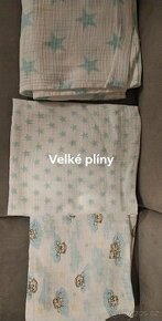 Velké plíny