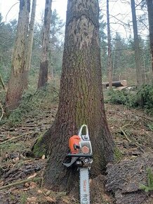 Stihl ms 400c