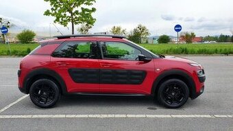 C4 Cactus