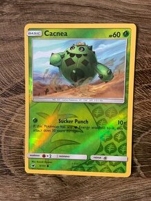 Pokemon:: CACNEA