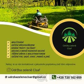 Úprava zeleně , sekání travy, prořezávání,kácení stromů - 1