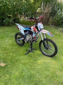 Pitbike Dorado 155ccm 19/16