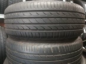 195/60 R15 DELINTE (0117)