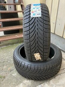 Zimní BF Goodrich g-Force Winter 205/45 R17 88V XL