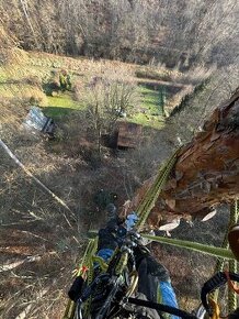 Nabízím arboristické služby - péče o zeleň, kácení stromů