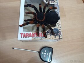 Tarantule pavouk na dálkové ovládání