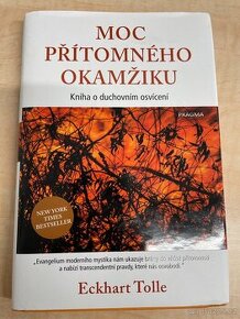 Moc přítomného okamžiku - Eckhart Tolle - 1