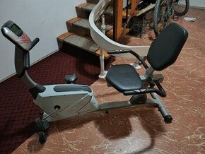 Recumbent Insportline Varis