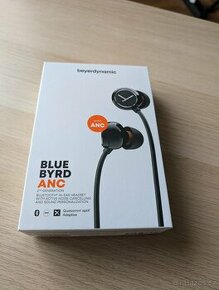 Beyerdynamic Blue Byrd ANC (2nd generation) - 1