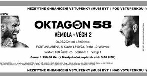Vstupenka Oktagon 58 Vemola x Vegh