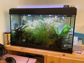 Akvarium 80x30x40 v