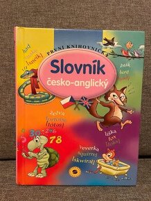 Slovník česko-anglický