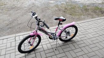 Dětské kolo Dino Bikes MTB bílá 20" - 1