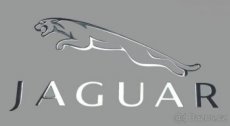 JAGUAR LOGO nalepka Metal Edition CHROM - 1