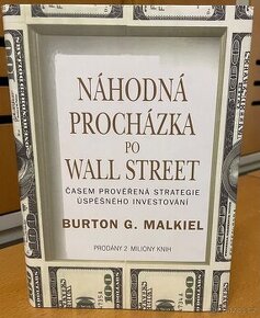 Náhodná procházka po Wall Street - 1