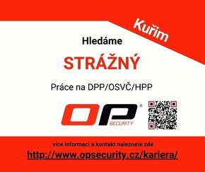 Strážný/á - Kuřim