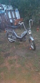 Babetta 210