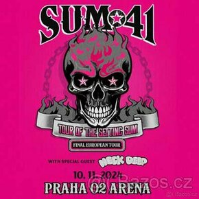 SUM 41, VIP KLUBOVÉ PATRO, 10.11.2024 O2 ARENA