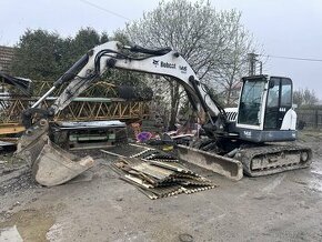 Bobcat