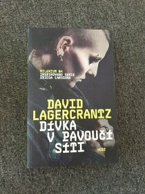 Dívka v pavoučí síti - David Lagercrantz - 1