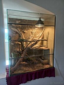 veliké terarium