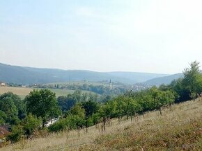 Stavební parcela vč. st. povolení, sad, louka 26 000 m2 - 1