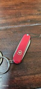 Koupím Victorinox