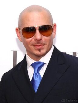 Pitbull Praha stání